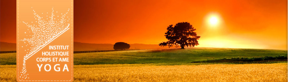 Formation professeur de yoga