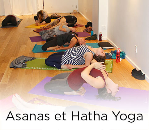 Asanas et Hatha yoga