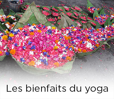 Les bienfaits du Yoga