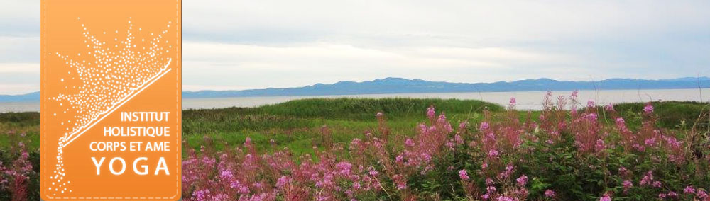 Formation professeur de yoga