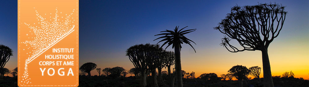 Formation professeur de yoga