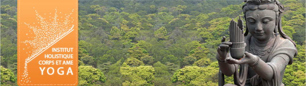 Formation professeur de yoga