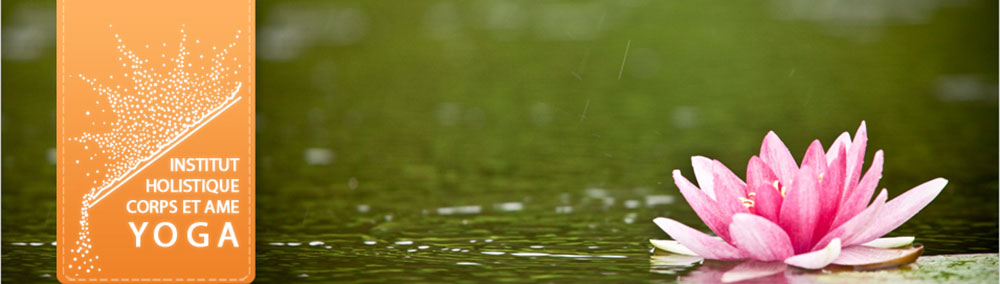 Formation professeur de yoga