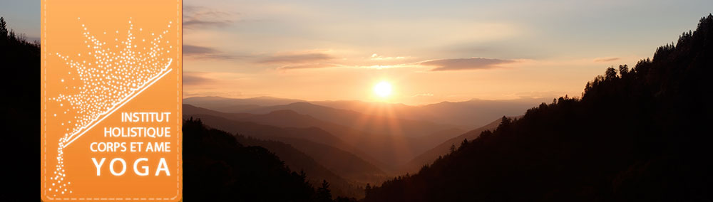 Formation professeur de yoga